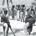 Los primeros esclavos africanos