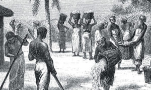 Los primeros esclavos africanos
