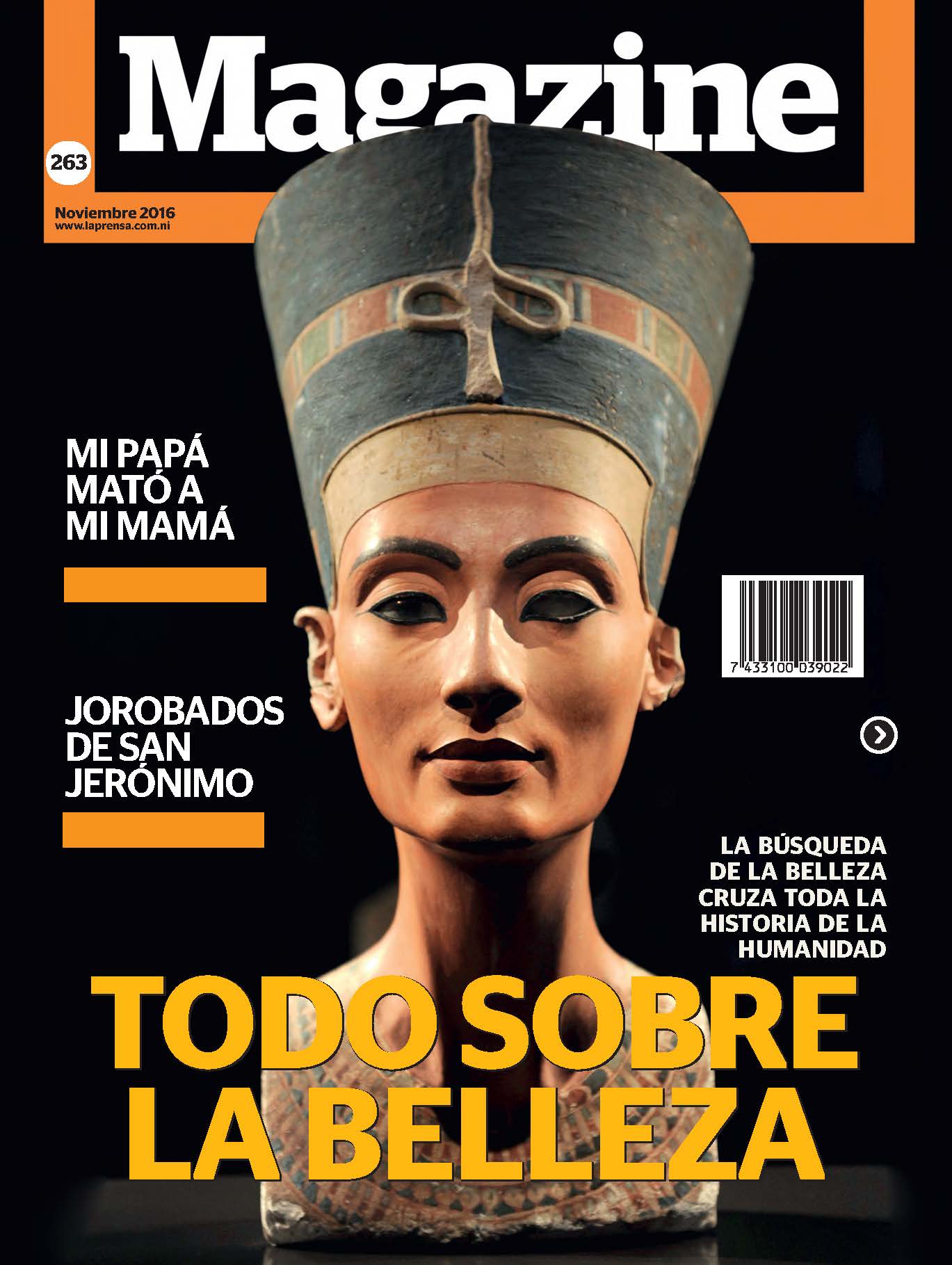 Magazine 263