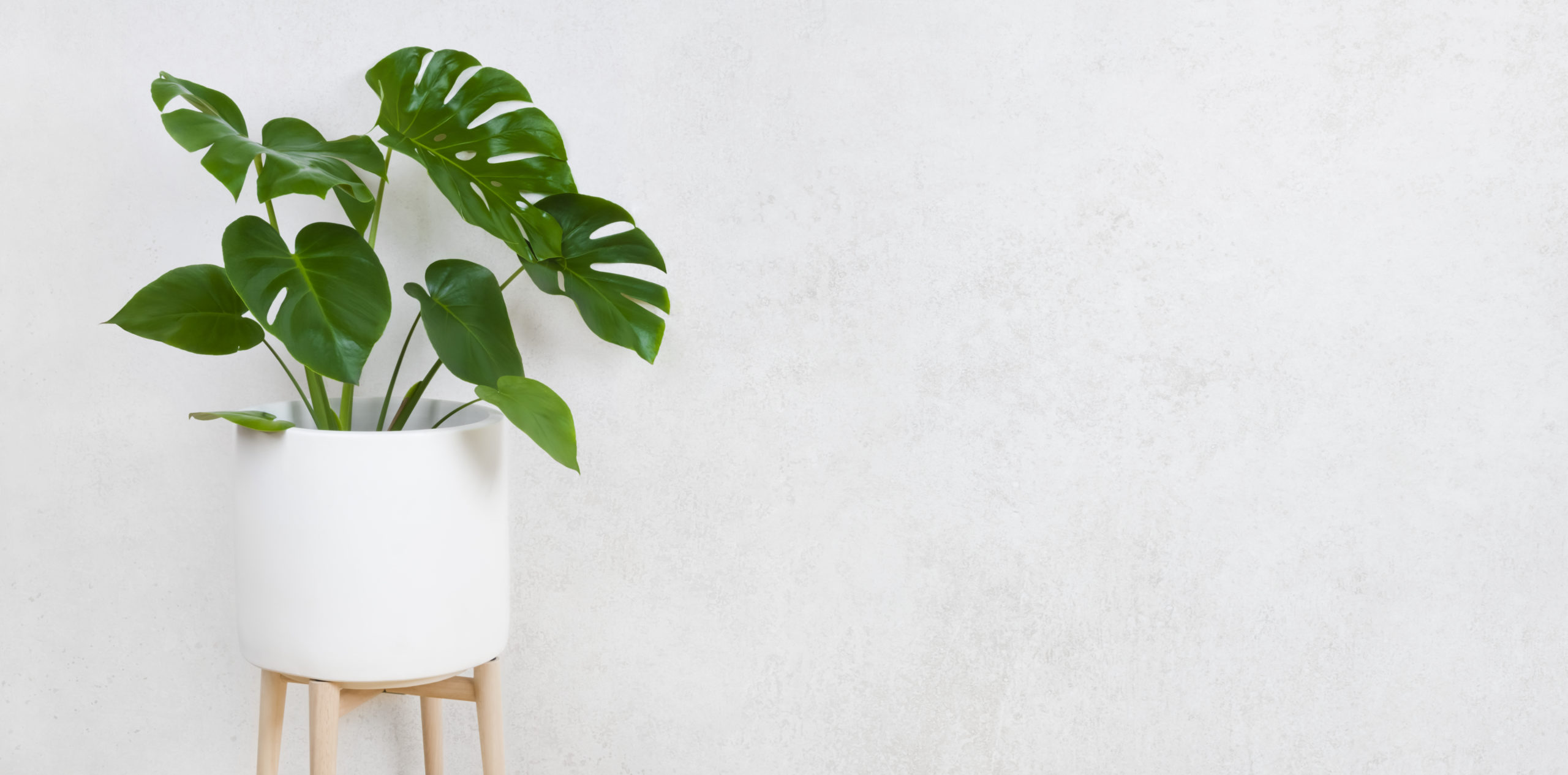 Accesorios para el baño que le darán personalidad al ambiente